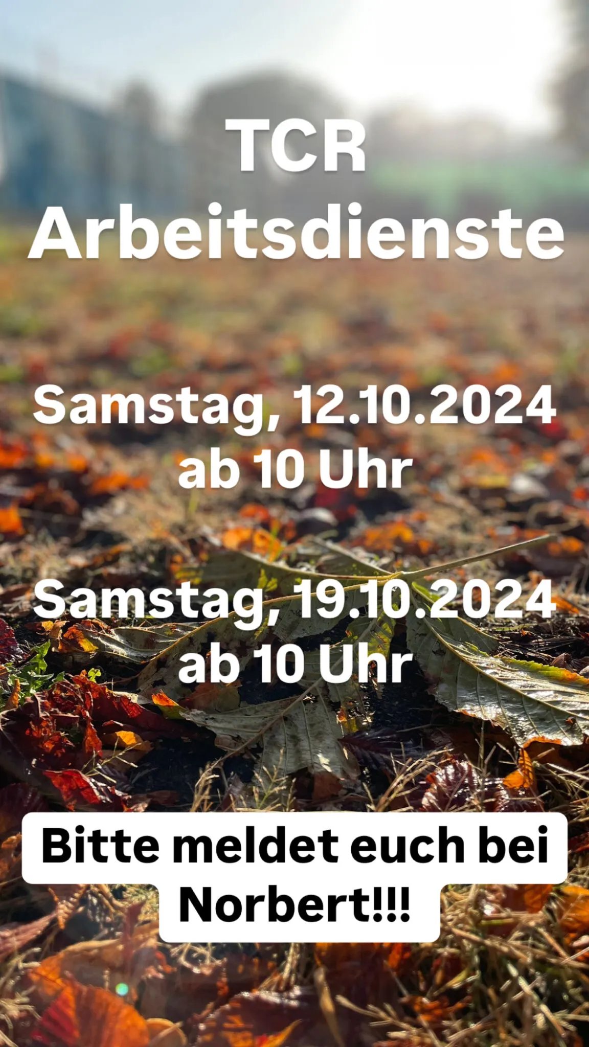 Arbeitsdienste Herbst 2